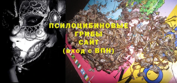 сатива Балахна