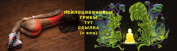сатива Балахна