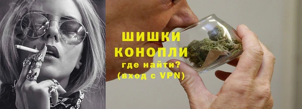 сатива Балахна