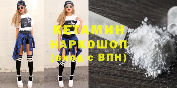 сатива Беломорск