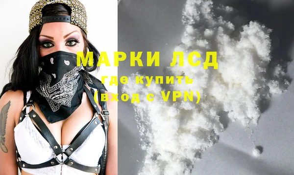 сатива Балахна