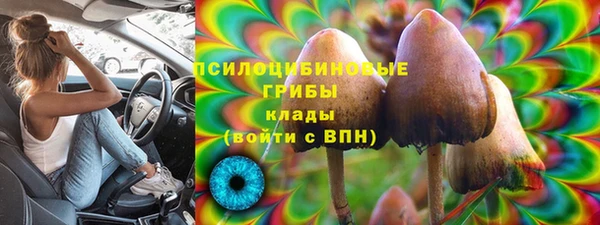 сатива Балахна