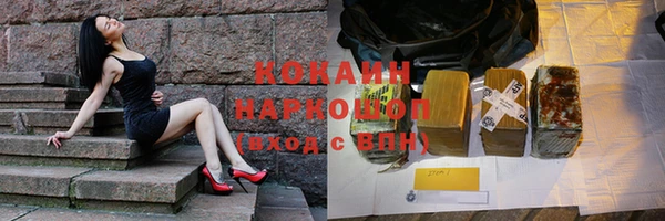 сатива Балахна